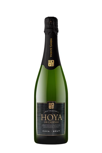 Vicente Gandia - Hoya de Cadenas Brut Cava