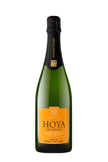 Vicente Gandia - Hoya de Cadenas Brut Nature Cava